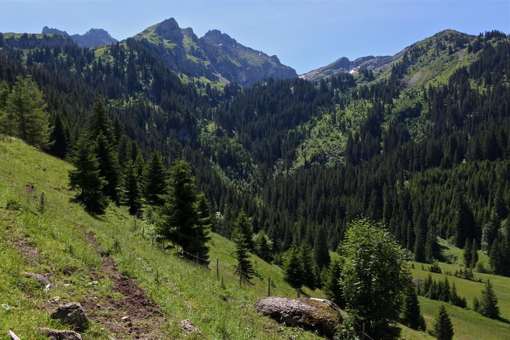 Hotel Le Relais Alpin Les Mosses Kültér fotó