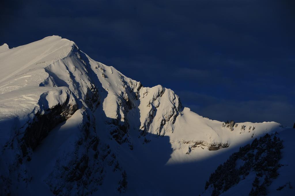 Hotel Le Relais Alpin Les Mosses Kültér fotó