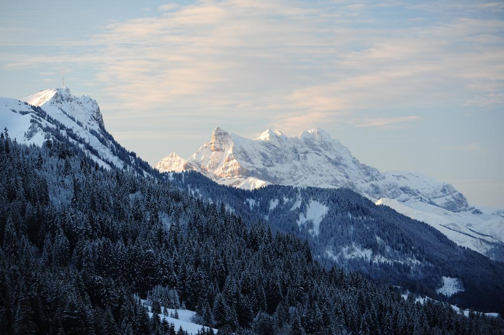 Hotel Le Relais Alpin Les Mosses Kültér fotó